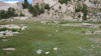 Upper Transect Left to Right