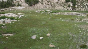 Upper Transect Left to Right