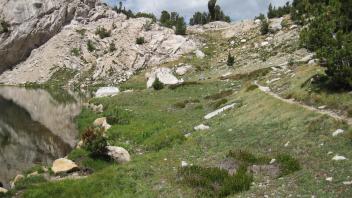 Middle Transect Left to Right