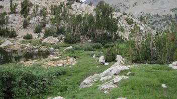 Lower Transect Right to Left