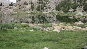 Bottom of Meadow
