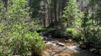 Meiss Creek