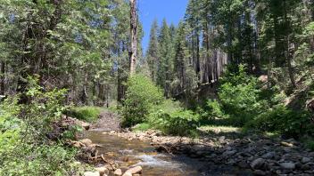 Meiss Creek
