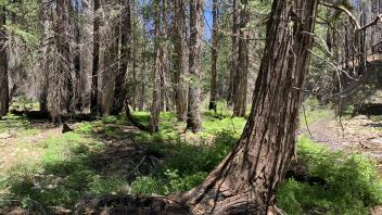 Meiss Creek