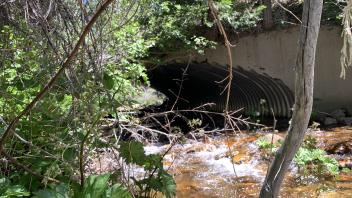 Meiss Creek