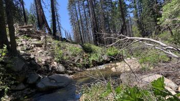Meiss Creek
