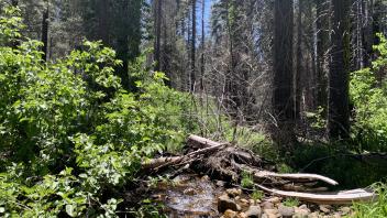 Meiss Creek