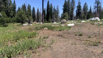 Willow Flat