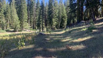 Hay Flat