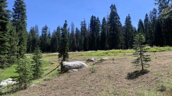 Hay Flat
