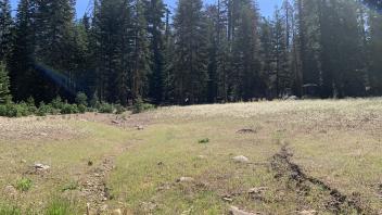 Hay Flat