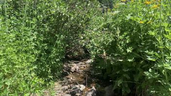 AA Creek