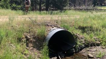 AA Creek