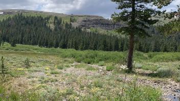 Meiss Lake