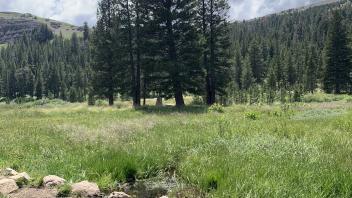 Meiss Lake