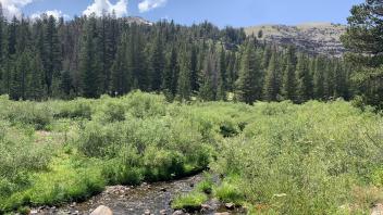 Meiss Lake