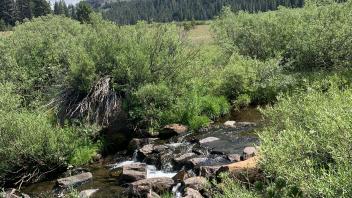 Meiss Lake