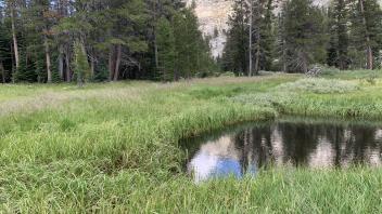 Round Meadow