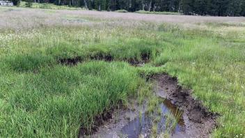 Round Meadow
