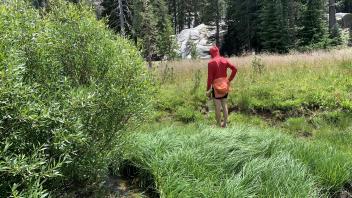 Round Meadow