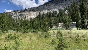 Round Meadow
