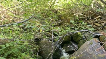 S Trout Creek