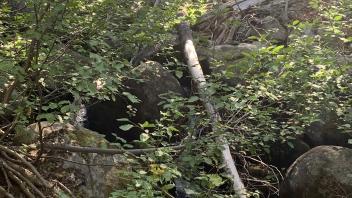 S Trout Creek