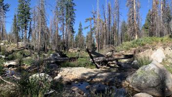 Lyons Creek