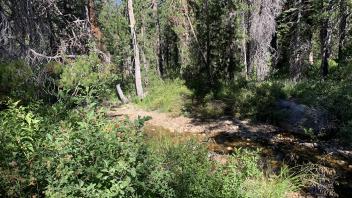 Lyons Creek