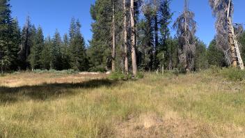 Lyons Creek