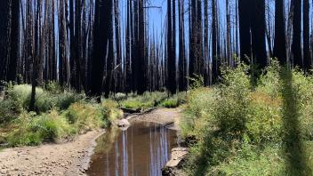 Tragedy Creek
