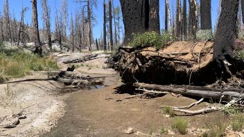 Tragedy Creek