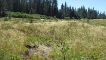 Incision Above Culvert at Crossing