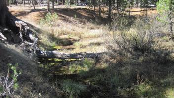 Inset Floodplain