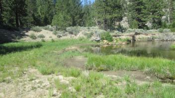 Inset floodplain & erosion at bottom of meadow