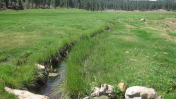 Irrigation ditch