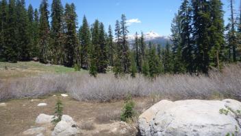 Looking Down Slope
