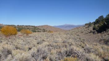 Looking downstream from upper end of meadow