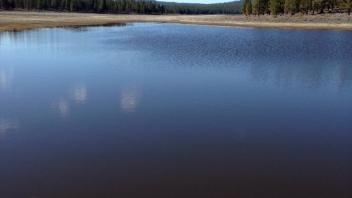 Looking upstream at stock pond