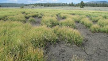 Low point of upper transect