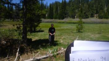 Lower Transect (left to right)