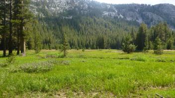 Lower Transect (right to left) overview