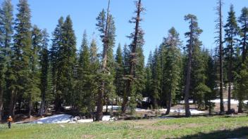 Lower Transect (right to left)