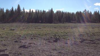 Lower Transect (river right)