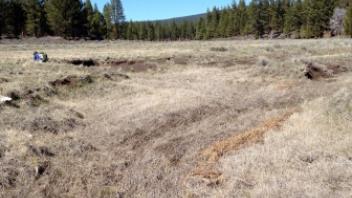 Lower Transect (upstream)