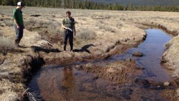 Lower Transect (upstream)