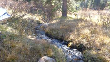 Lower Transect Channel (downstream)