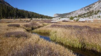 Lower Transect Channel (downstream)