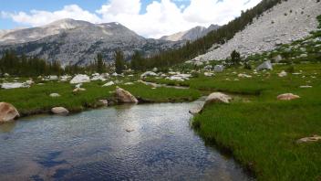 Lower Transect Channel (downstream)