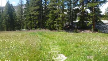 Lower Transect Channel (downstream)